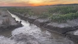 Farmland and soil stewardship in Desha County